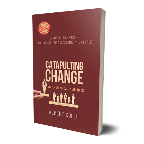 Catapulting Change: Mindful Leadership To Launch Organizations and People