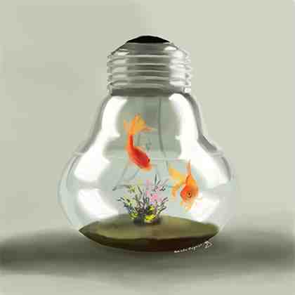anniella_basic_fishes.jpg